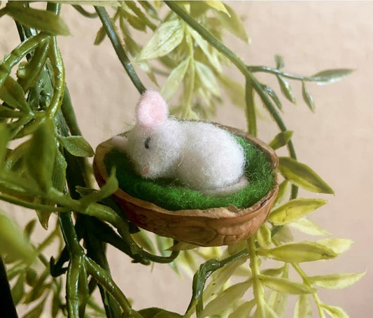 Miniature Sleepy Mouse in a Walnut Half